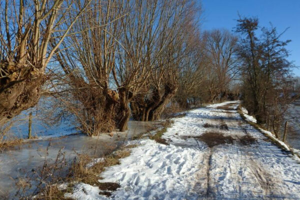 Redichemse Waard Bij Culemborg Met Sneeuw