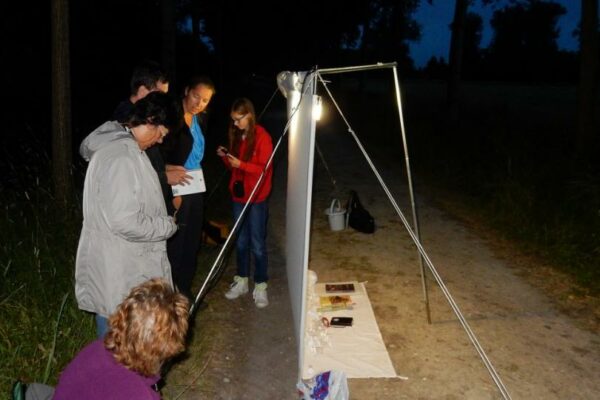nachtvlinderavond