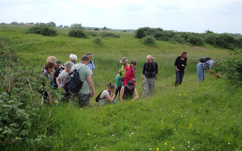 Excursie in de Steenwaard