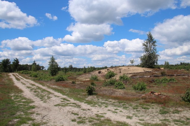 Hemelvaartkamp: nog enkele plaatsen beschikbaar voor kampeerders