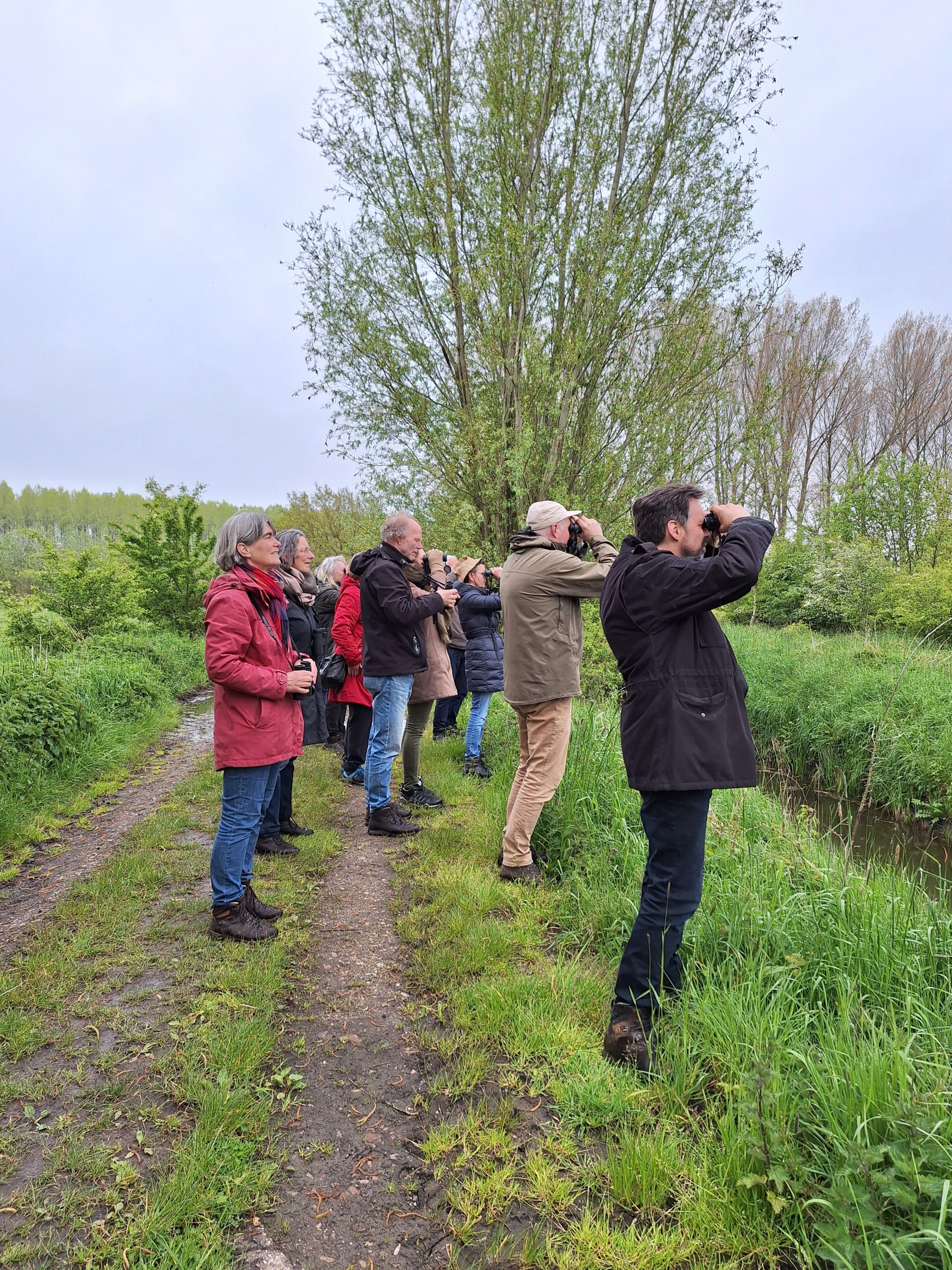 Vogels in de buurt: 1 juni excursie