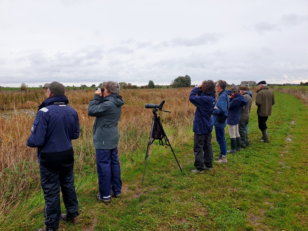 Vogels in de buurt: Bijzondere Big Day en op zoek naar de wielewaal