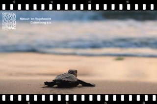 Natuurfilm in De Fransche School: The Coriolis Effect