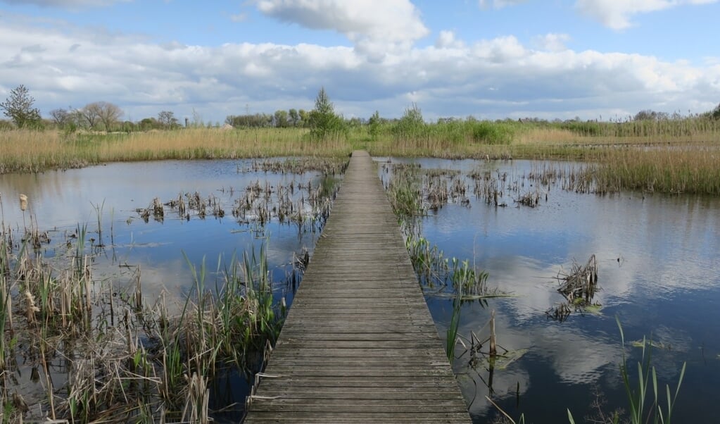 Openbare excursie plantenwerkgroep