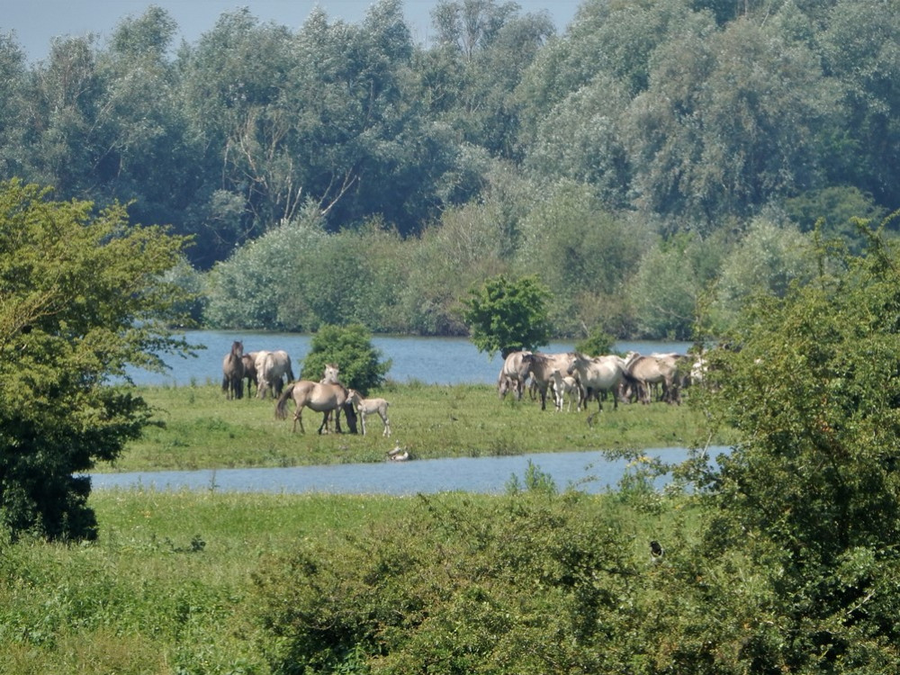 Ver weg-excursie Jeugdwerkgroep