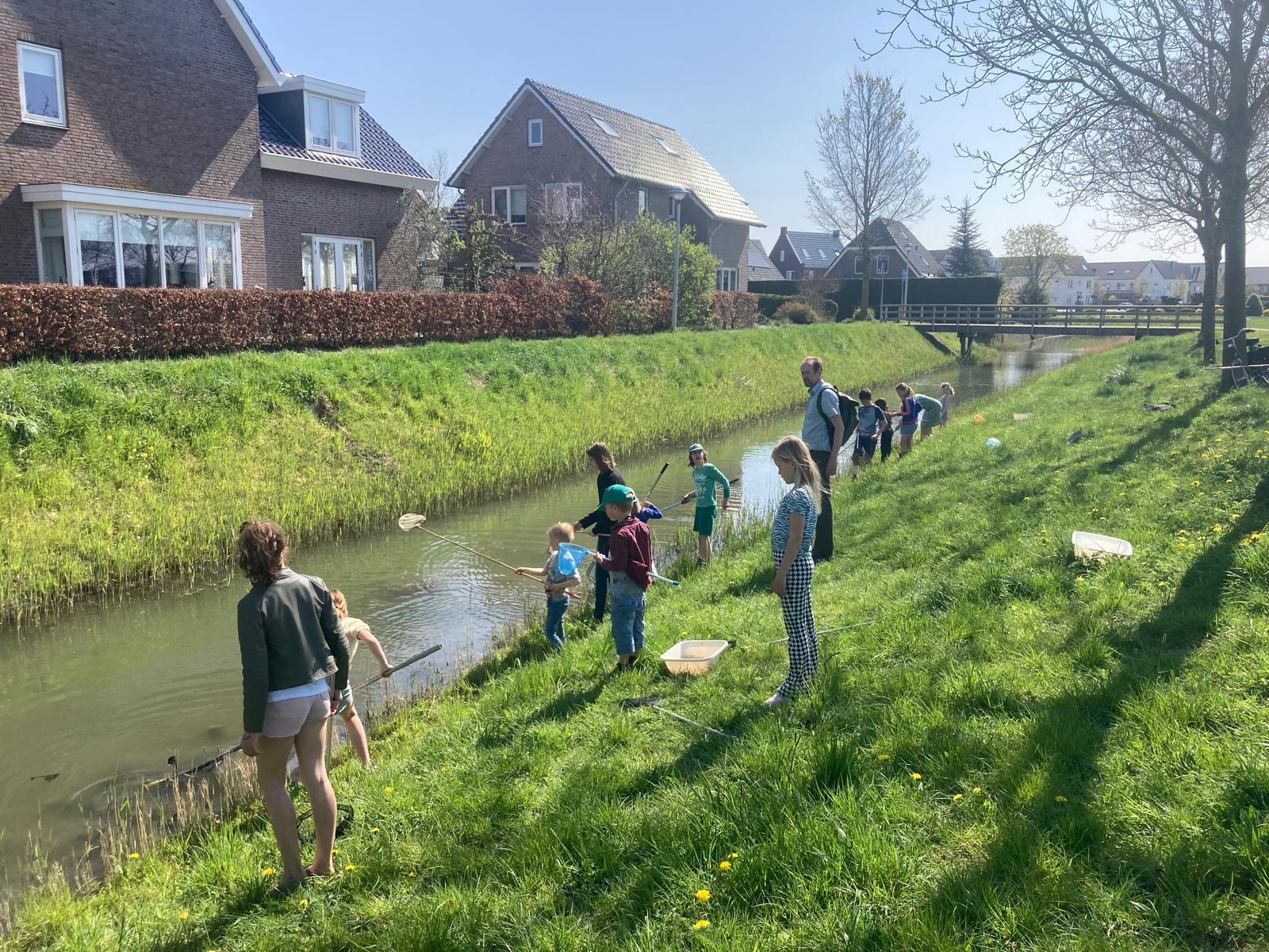 Jeugdactiviteit: Waterbeestjes