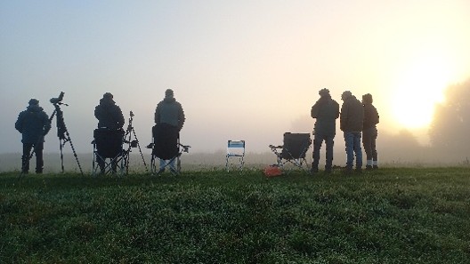 Vogels in de buurt, excursie