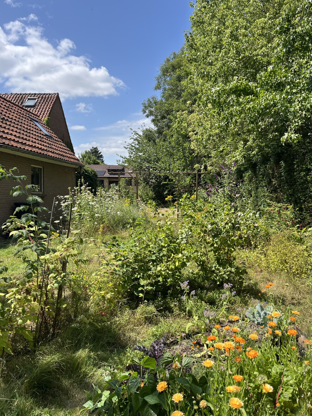 Lezing: Een duurzame tuin in het Rivierengebied
